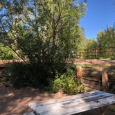 Review photo of Lone Duck Campground and Cabins by Kari L., September 29, 2019