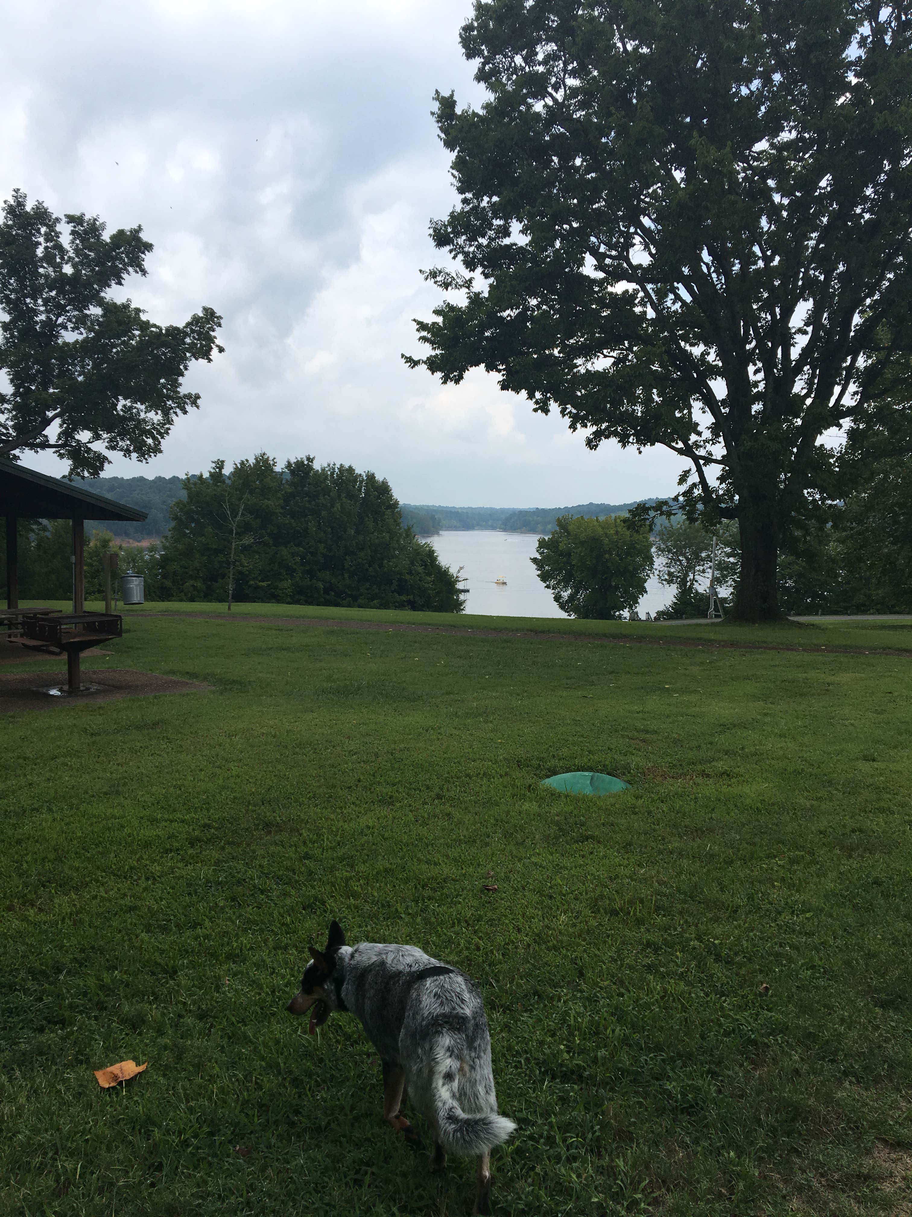 Camper-submitted photo at Narrows Boat Ramp near Rogers, KY