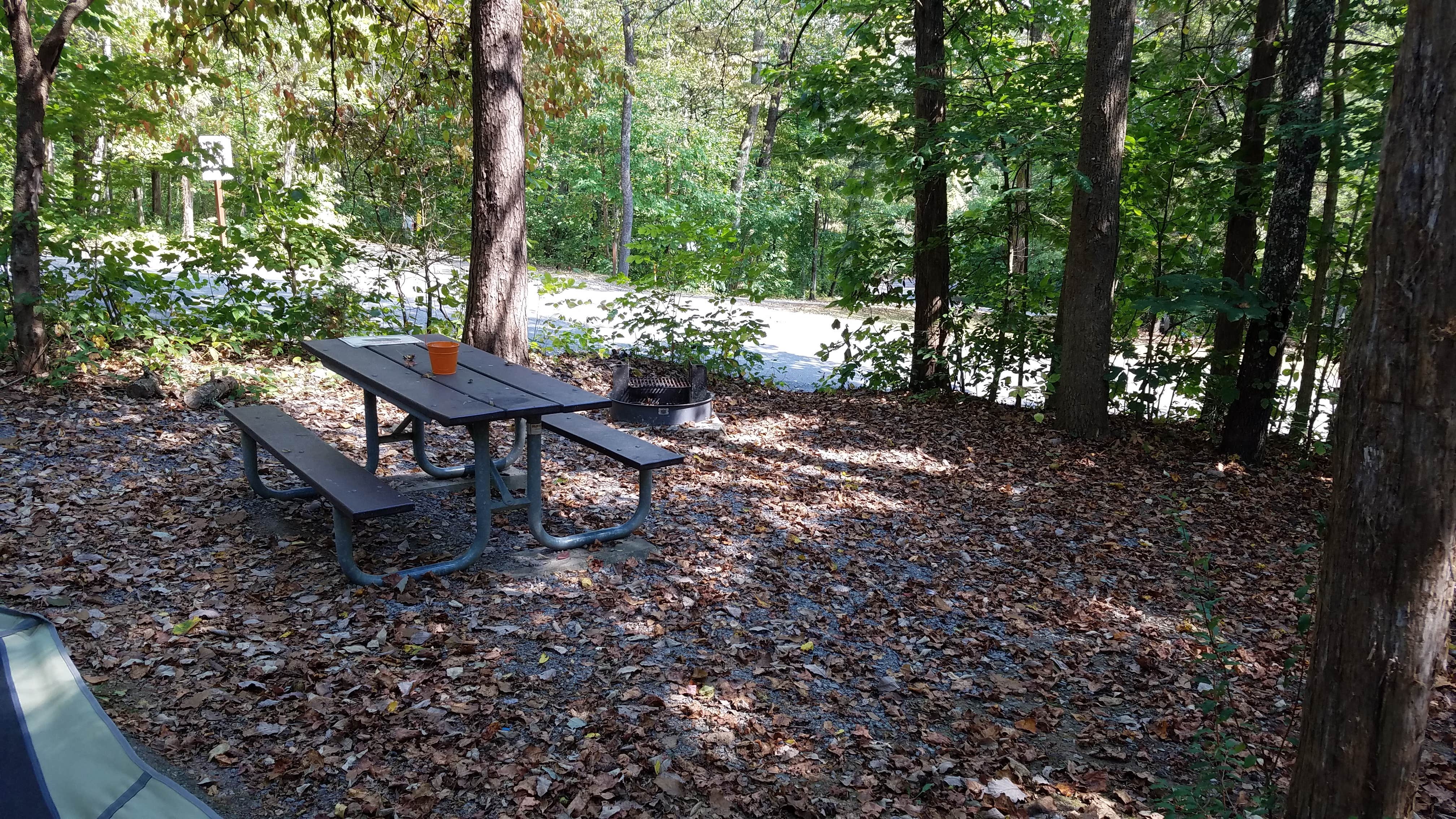 Camper submitted image from Wilderness Road Campground - 4