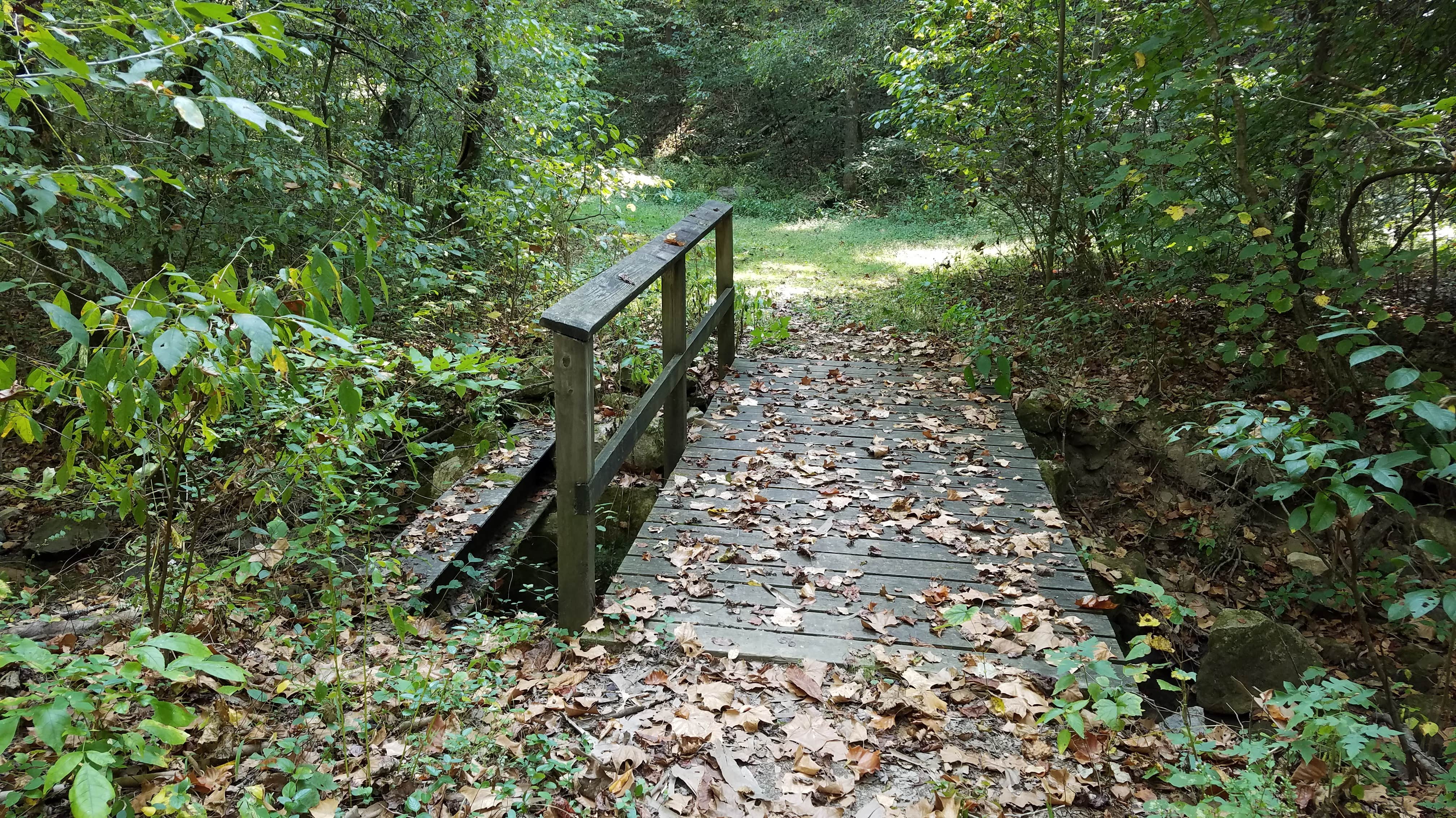 Camper submitted image from Wilderness Road Campground - 2