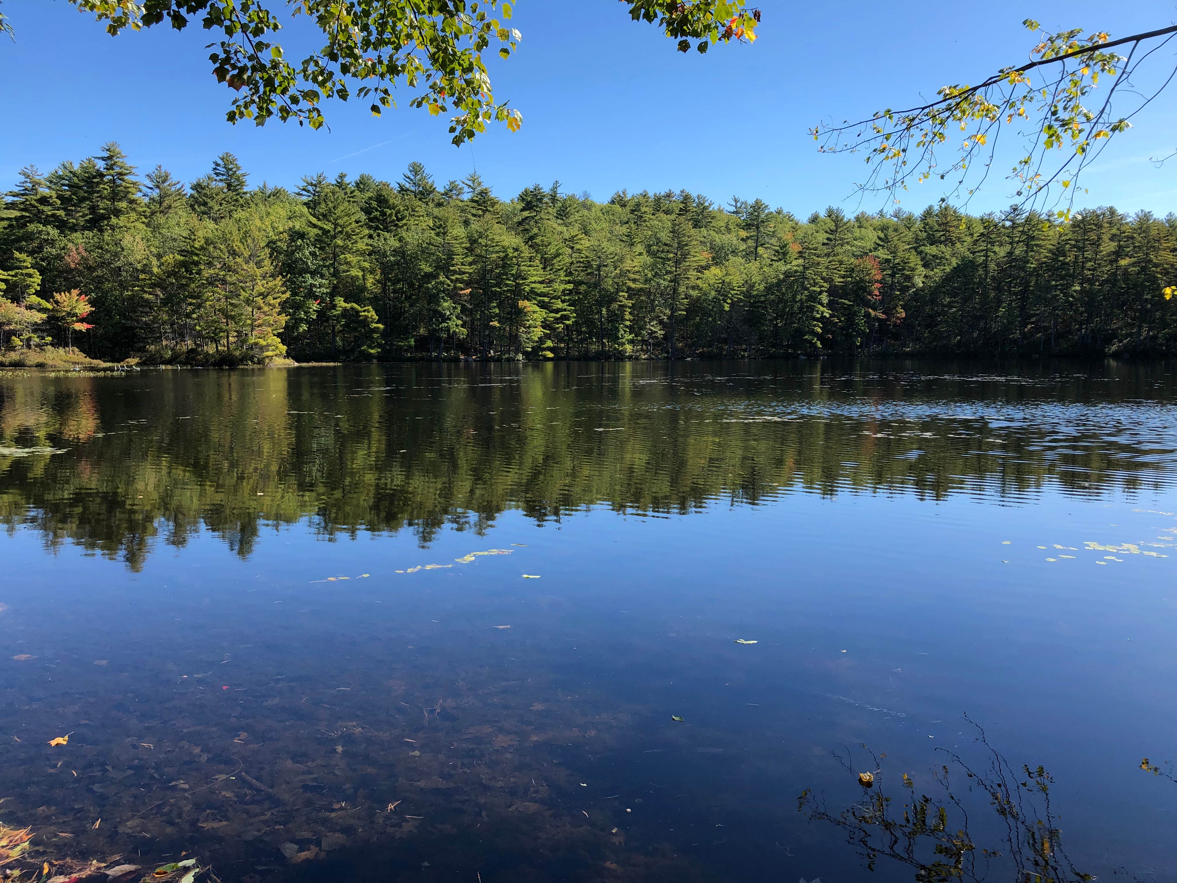 Camper-submitted photo at Acres Of Wildlife Family Campground near Newfield, ME