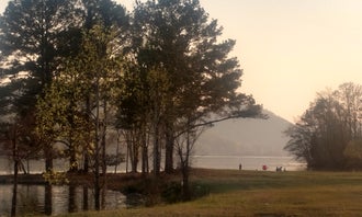 Camping near The Cove RV Resort and Campground: Greensport RV Park and Campground, Rainbow City, Alabama