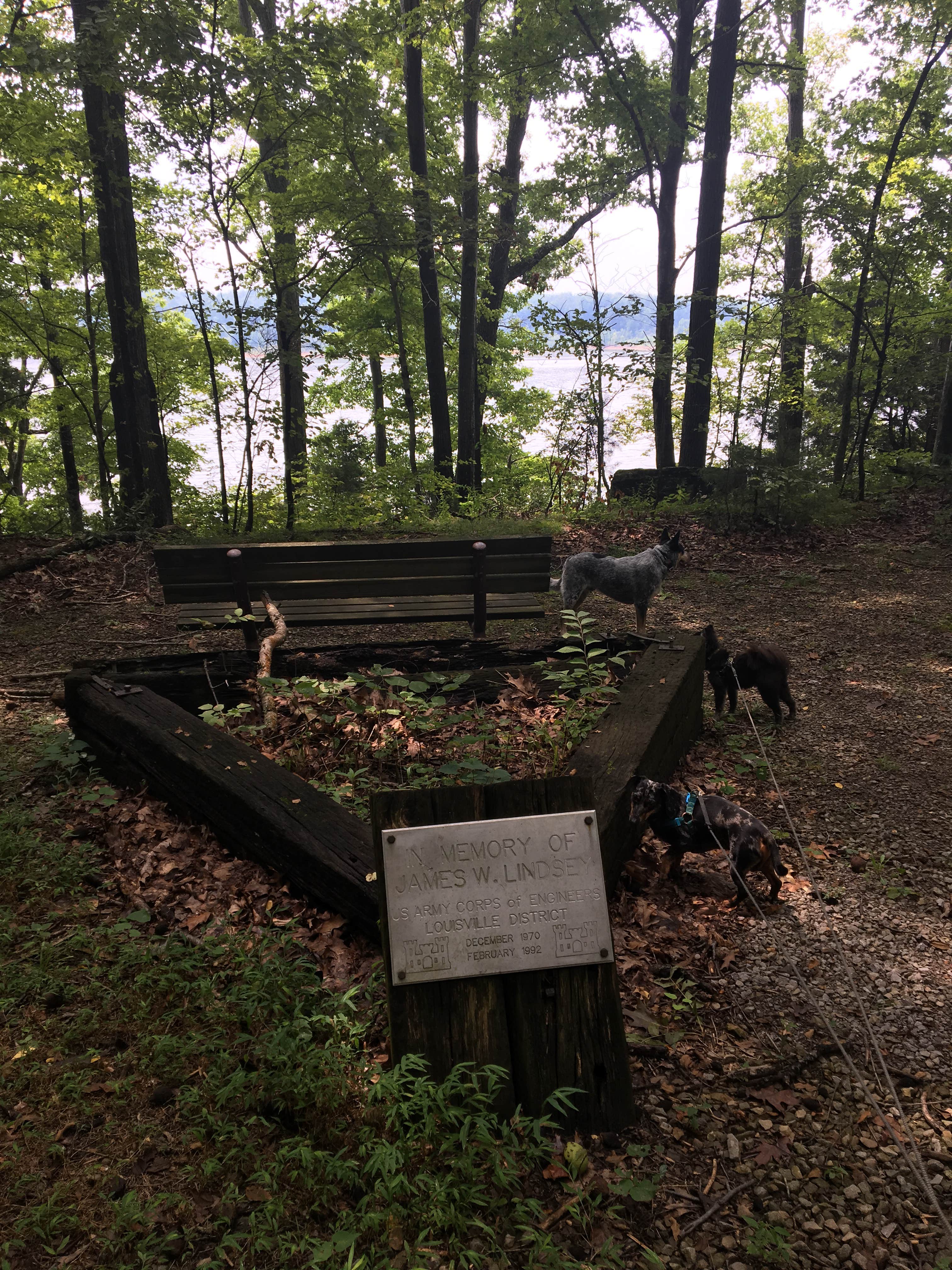 Camper-submitted photo at Narrows Boat Ramp near Rogers, KY