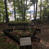 Review photo of Narrows Boat Ramp by Shelly S., August 13, 2017