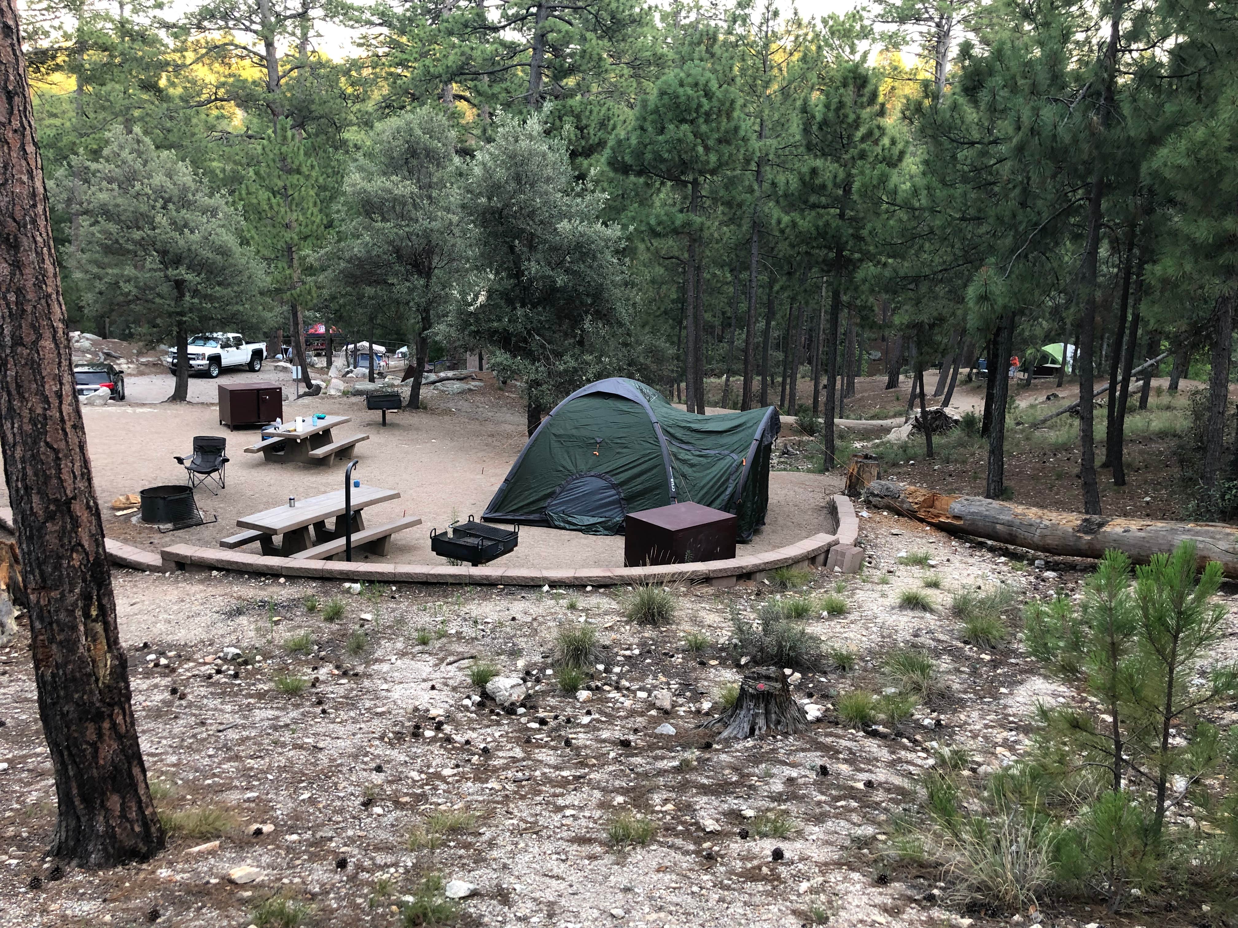 Jeramie D.'s photo at Rose Canyon Campground near Catalina, AZ