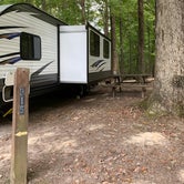 Review photo of Brown County State Park Campground by Becky E., September 29, 2019
