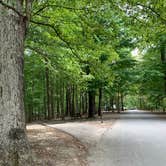 Review photo of Taylor Ridge Campground — Brown County State Park by Becky E., September 29, 2019