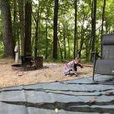 Review photo of Taylor Ridge Campground — Brown County State Park by Becky E., September 29, 2019