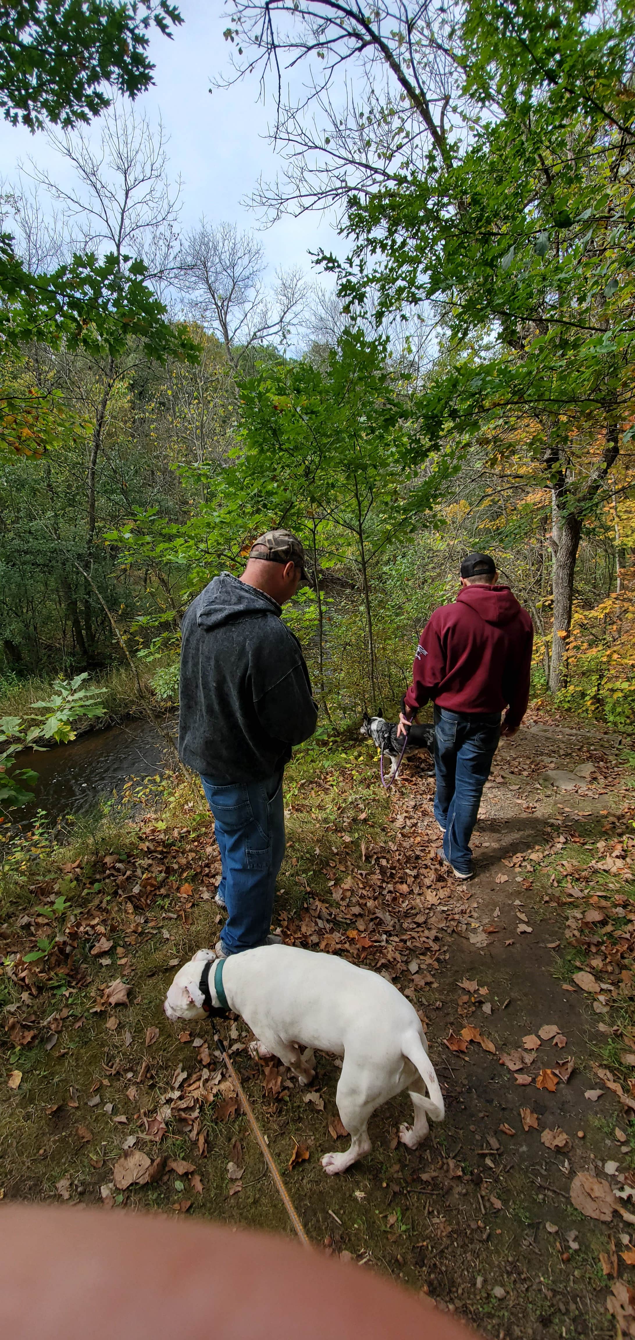 Jeremiah W.'s photo of camping with pets at Charles A. Lindbergh State Park Campground near Melrose, MN