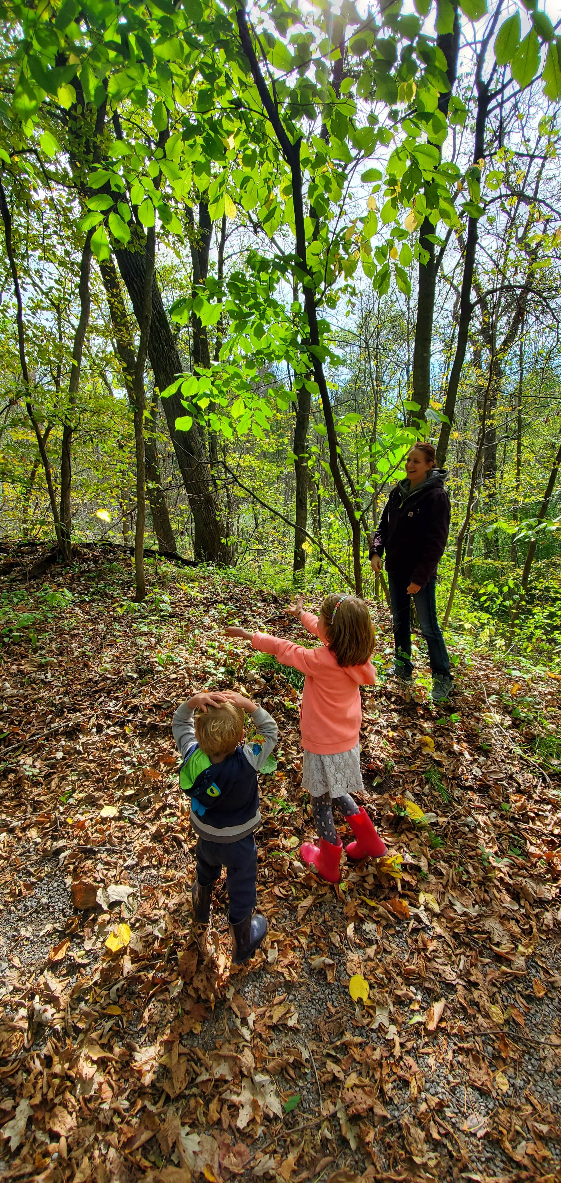 Camper-submitted photo at Charles A. Lindbergh State Park Campground near Little Falls, MN