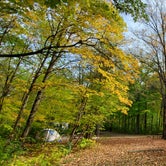 Review photo of Charles A. Lindbergh State Park Campground by Jeremiah W., September 29, 2019