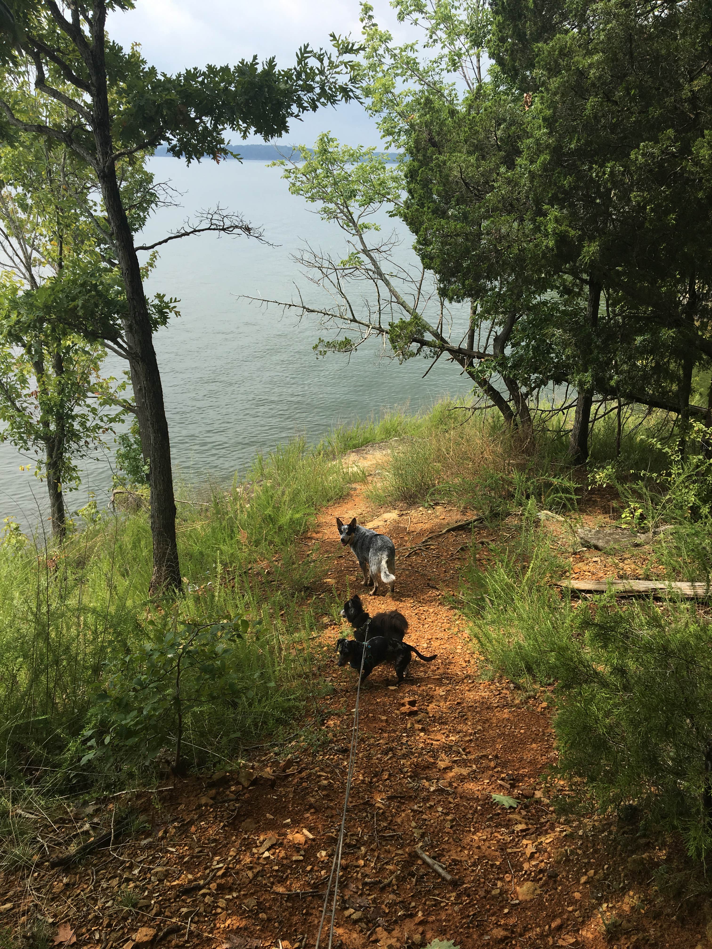 Camper-submitted photo at Narrows Boat Ramp near Rogers, KY