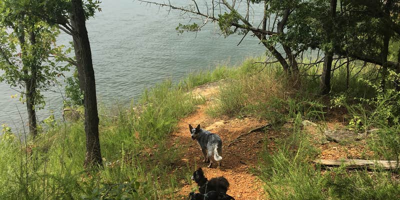 Camper submitted image from Narrows Boat Ramp