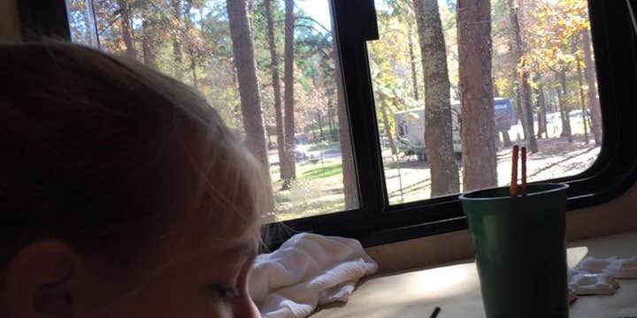 Camper submitted image from Rusk - Palestine Park