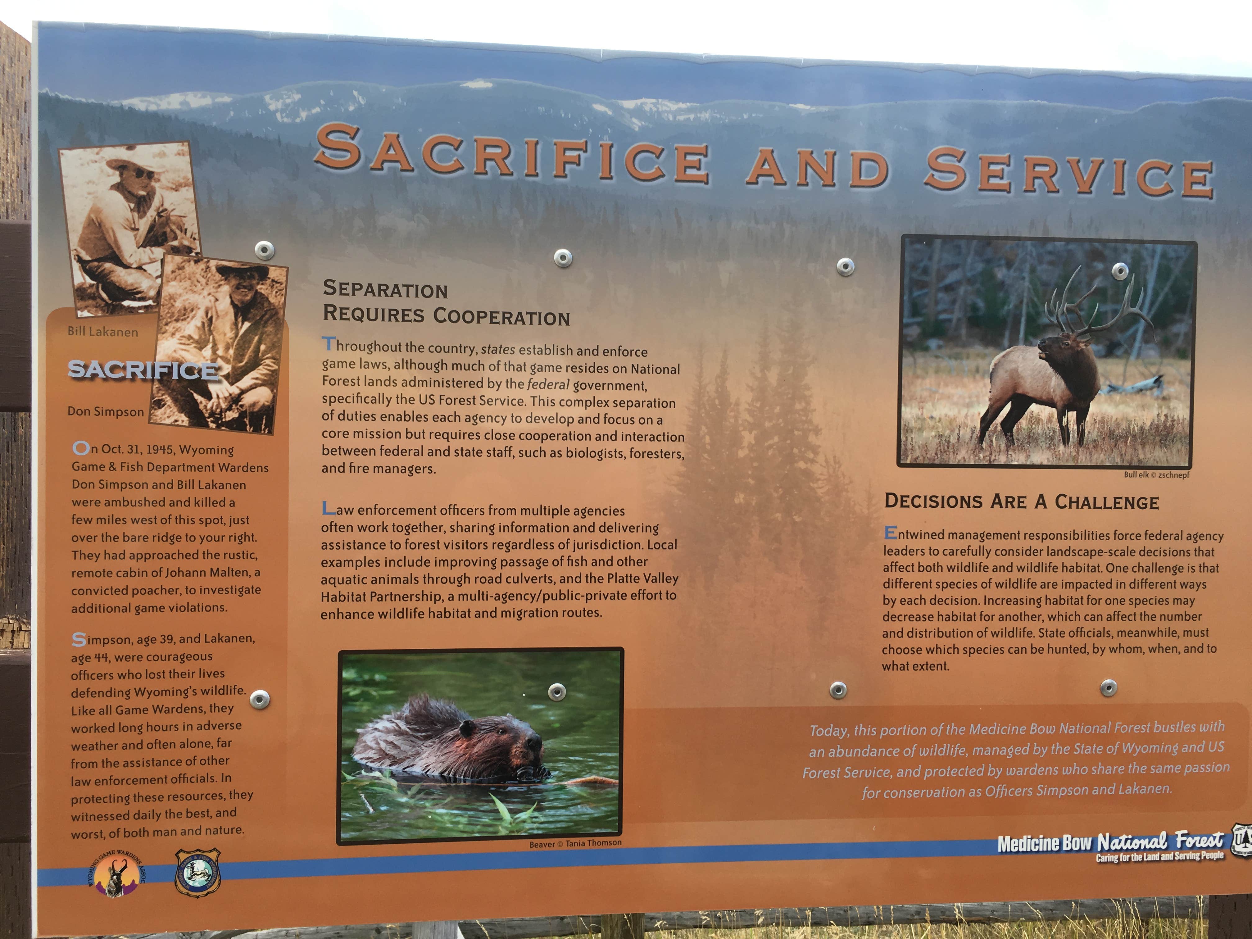 Camper-submitted photo at Jack Creek near Shoshone National Forest