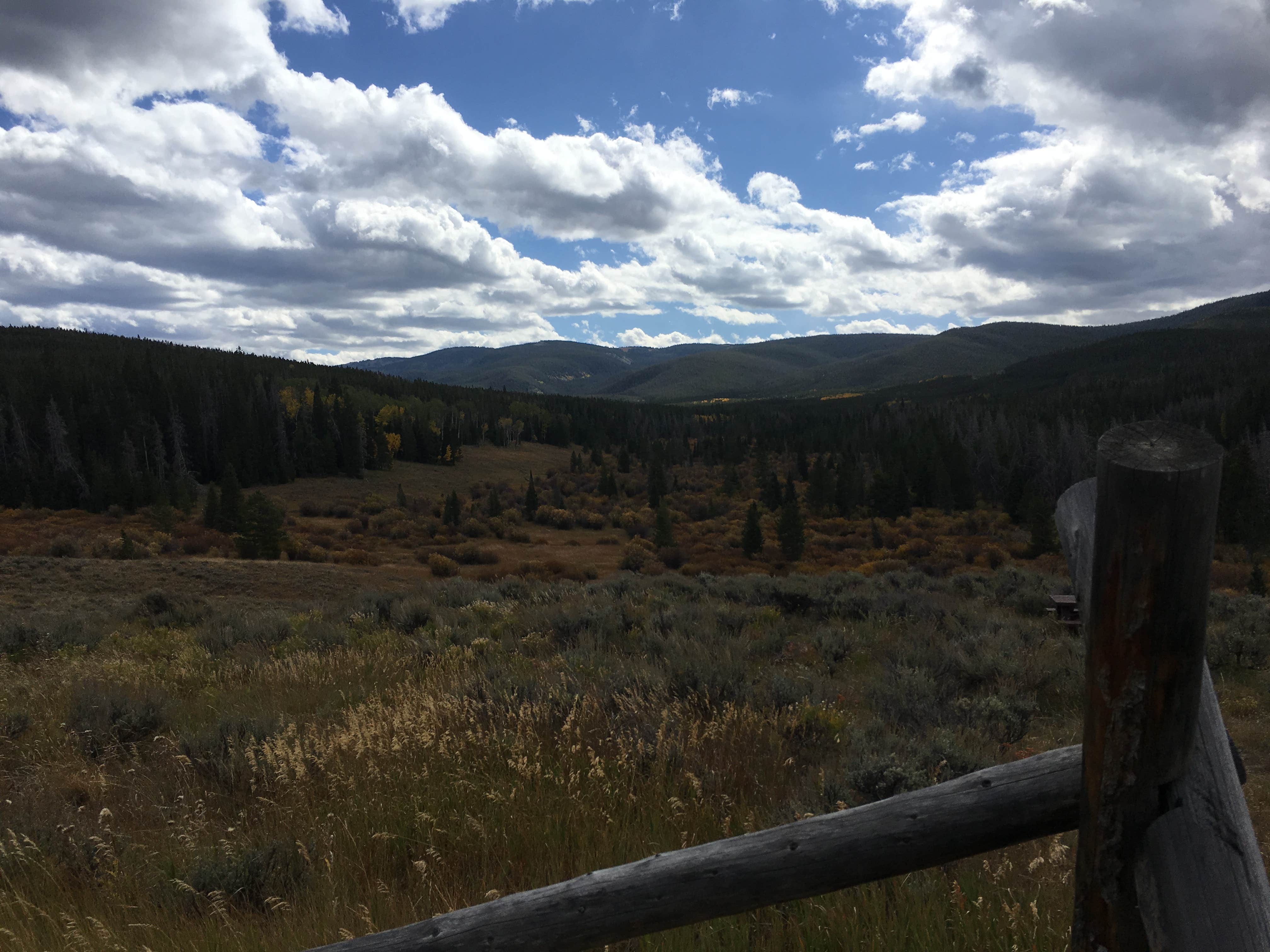 Camper-submitted photo at Jack Creek near Shoshone National Forest