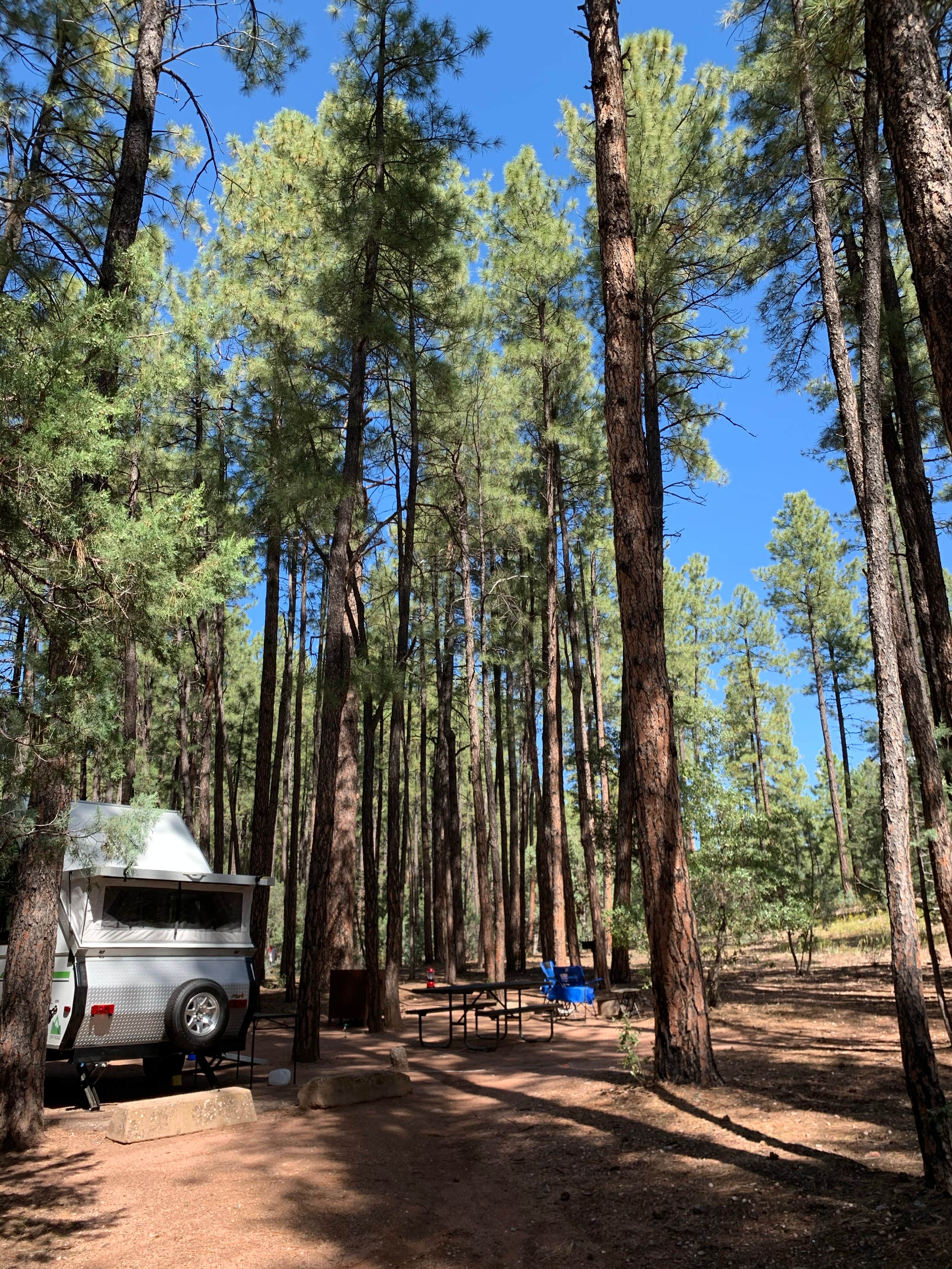 Emily Z.'s photo of rv camping at Ponderosa Campground (AZ) Tonto National Forest near Sun Valley, AZ