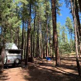 Review photo of Ponderosa Campground (AZ) Tonto National Forest by Emily Z., September 29, 2019