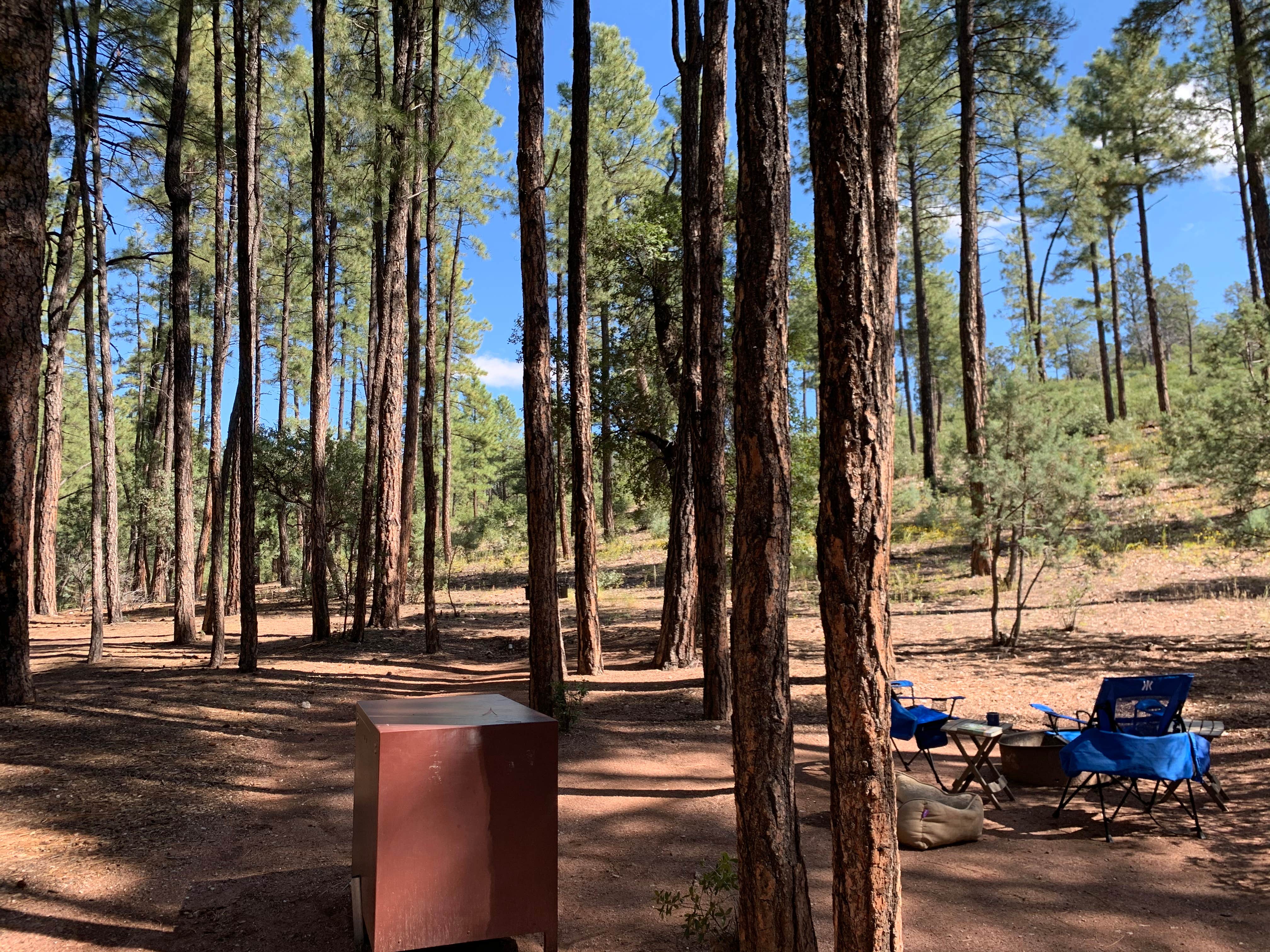 Emily Z.'s photo at Ponderosa Campground (AZ) Tonto National Forest near Payson, AZ