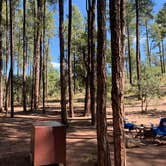 Review photo of Ponderosa Campground (AZ) Tonto National Forest by Emily Z., September 29, 2019