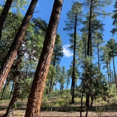 Review photo of Ponderosa Campground (AZ) Tonto National Forest by Emily Z., September 29, 2019
