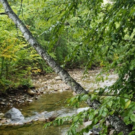 This is what the Eastman brook looks like in September. Campers have created pools with stones.