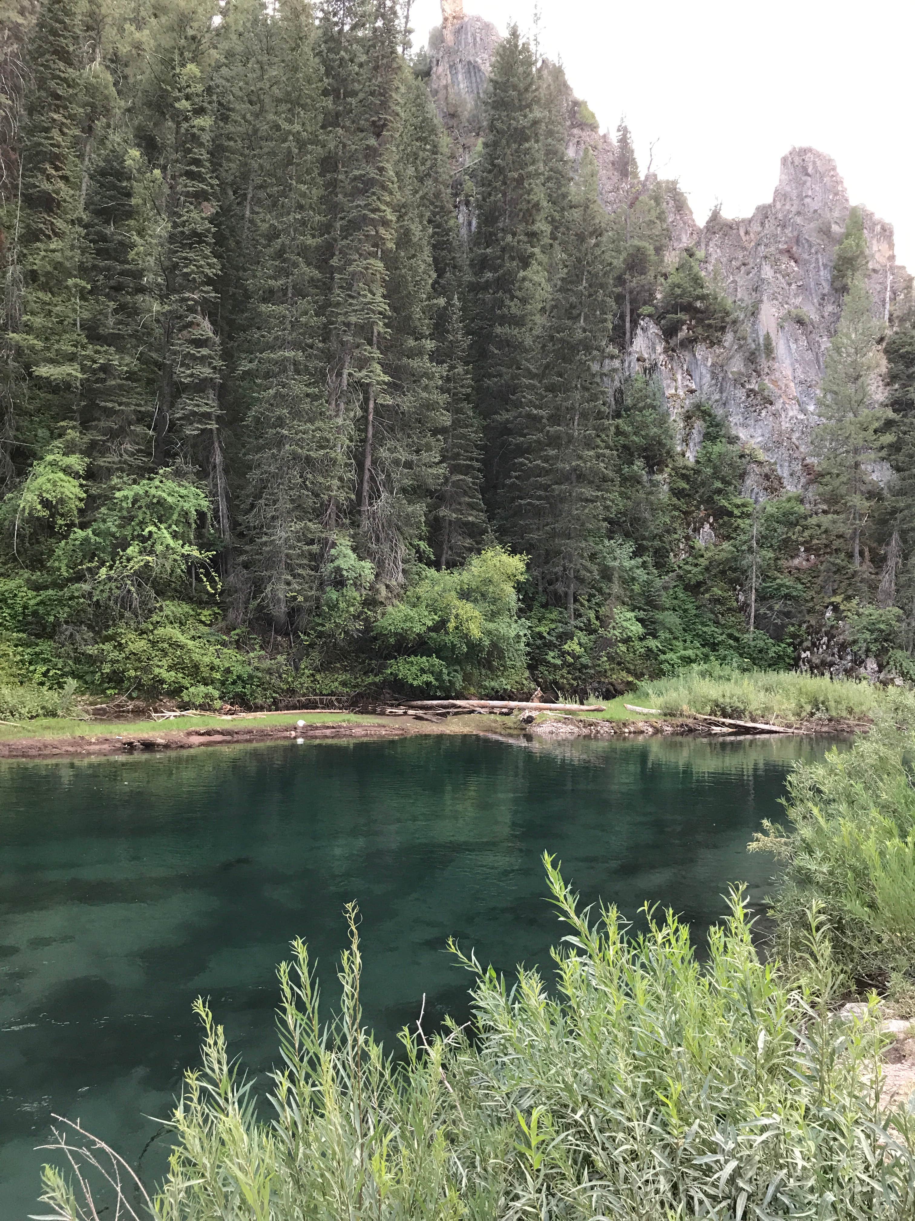 Camper submitted image from Swift Creek Campground - 4