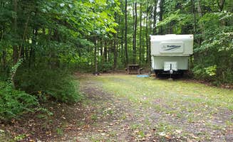 Jean C.'s photo at Lumen Nature Retreat near North Woodstock, NH