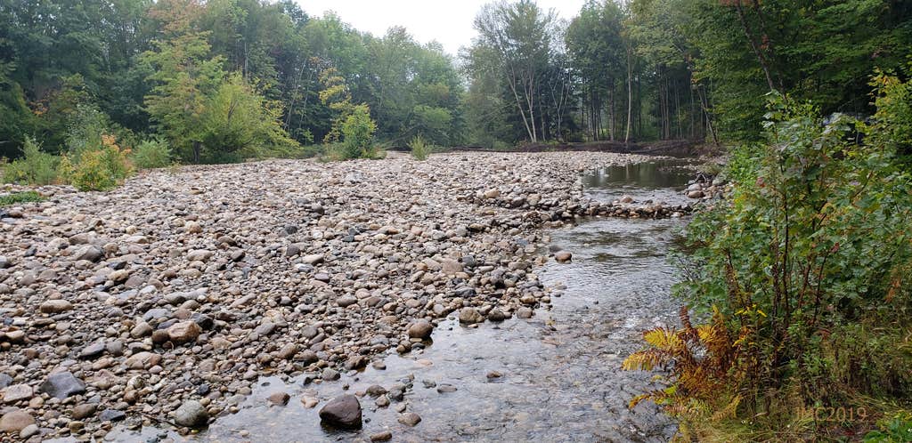 Camper-submitted photo at Lumen Nature Retreat near Glencliff, NH