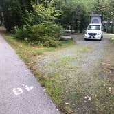Review photo of Blackwoods Campground — Acadia National Park by Lee D., September 30, 2019