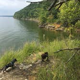 Review photo of The Narrows by Shelly S., August 13, 2017