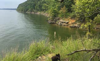 Shelly S.'s photo of camping with pets at The Narrows near Glasgow, KY