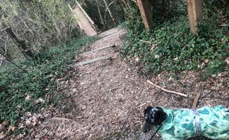Shelly S.'s photo of camping with pets at Fort Boonesborough State Park Campground near Slade, KY