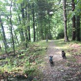 Review photo of The Narrows by Shelly S., August 13, 2017