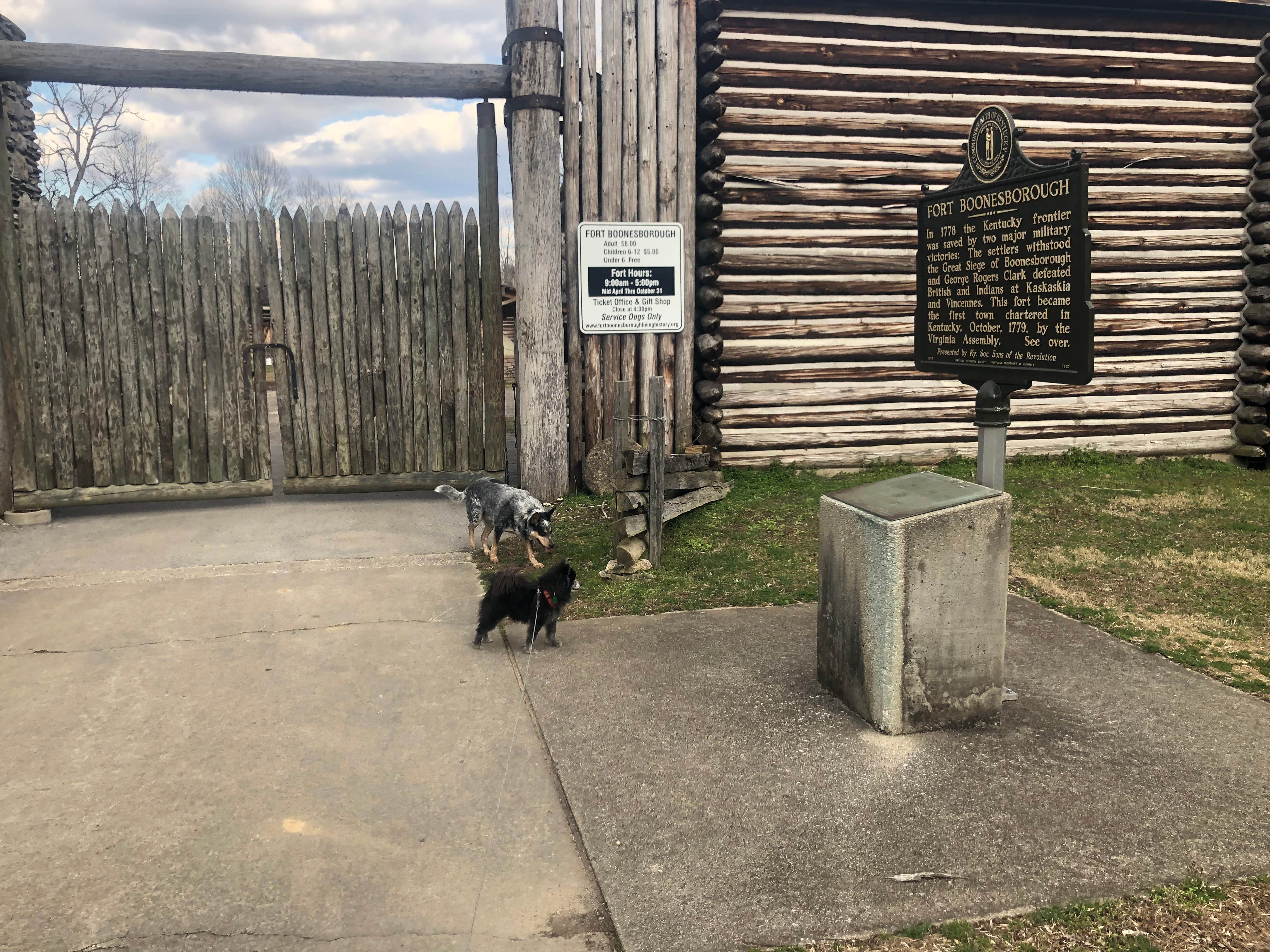 Shelly S.'s photo of camping with pets at Fort Boonesborough State Park Campground near Richmond, KY
