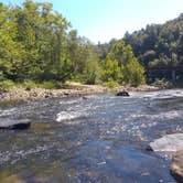 Review photo of Rock Creek Campground — Obed Wild and Scenic River by Steven S., September 30, 2019