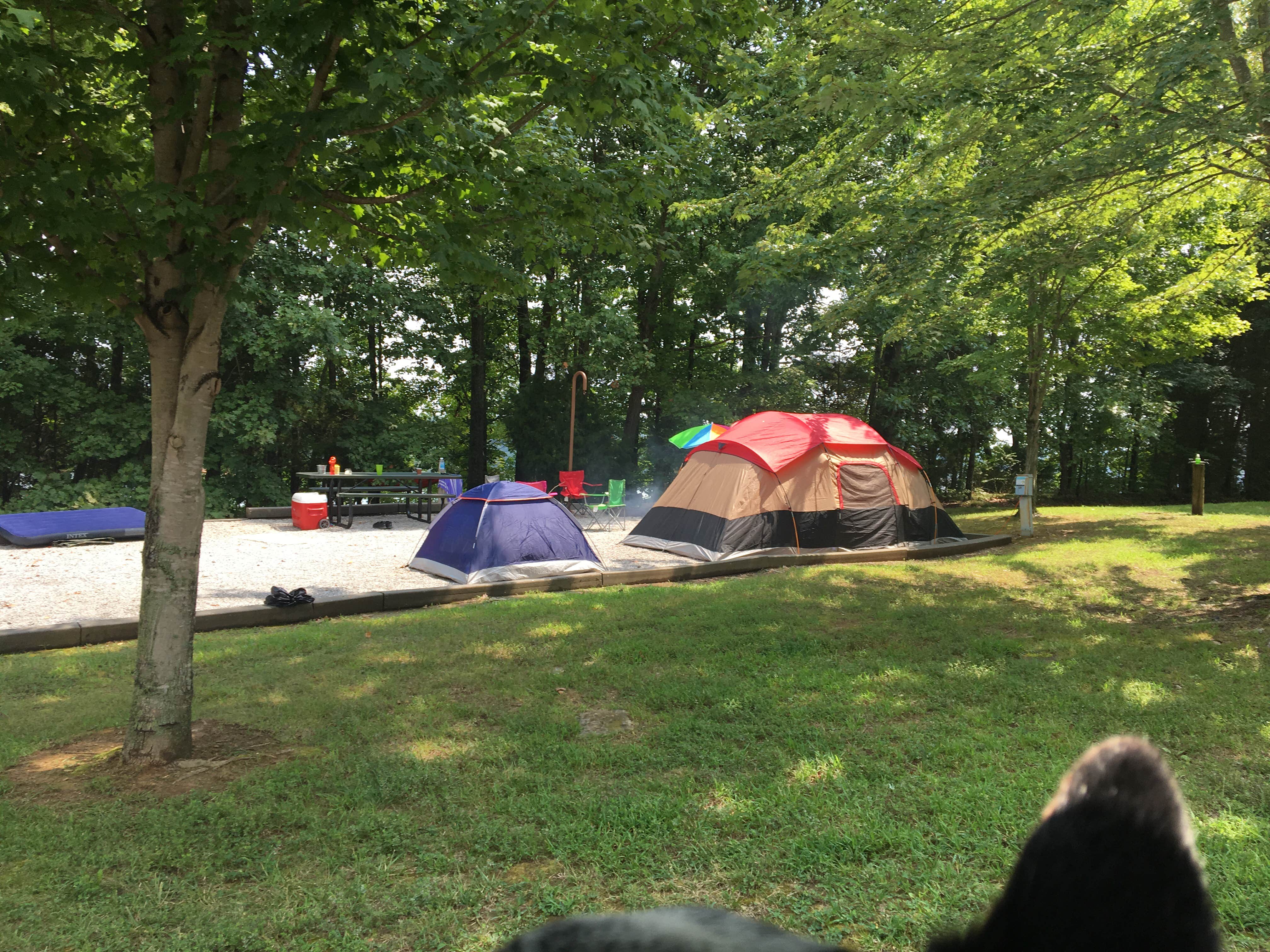 Camper submitted image from The Narrows - 4