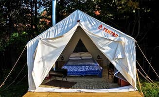 The Dyrt's photo at Pasture Paradise Camp at Parkwood Farm near Utica, NY