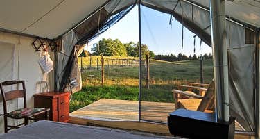 Pasture Paradise Camp at Parkwood Farm