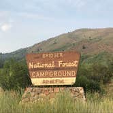 Review photo of Allred Flat by Carrie C., August 13, 2017