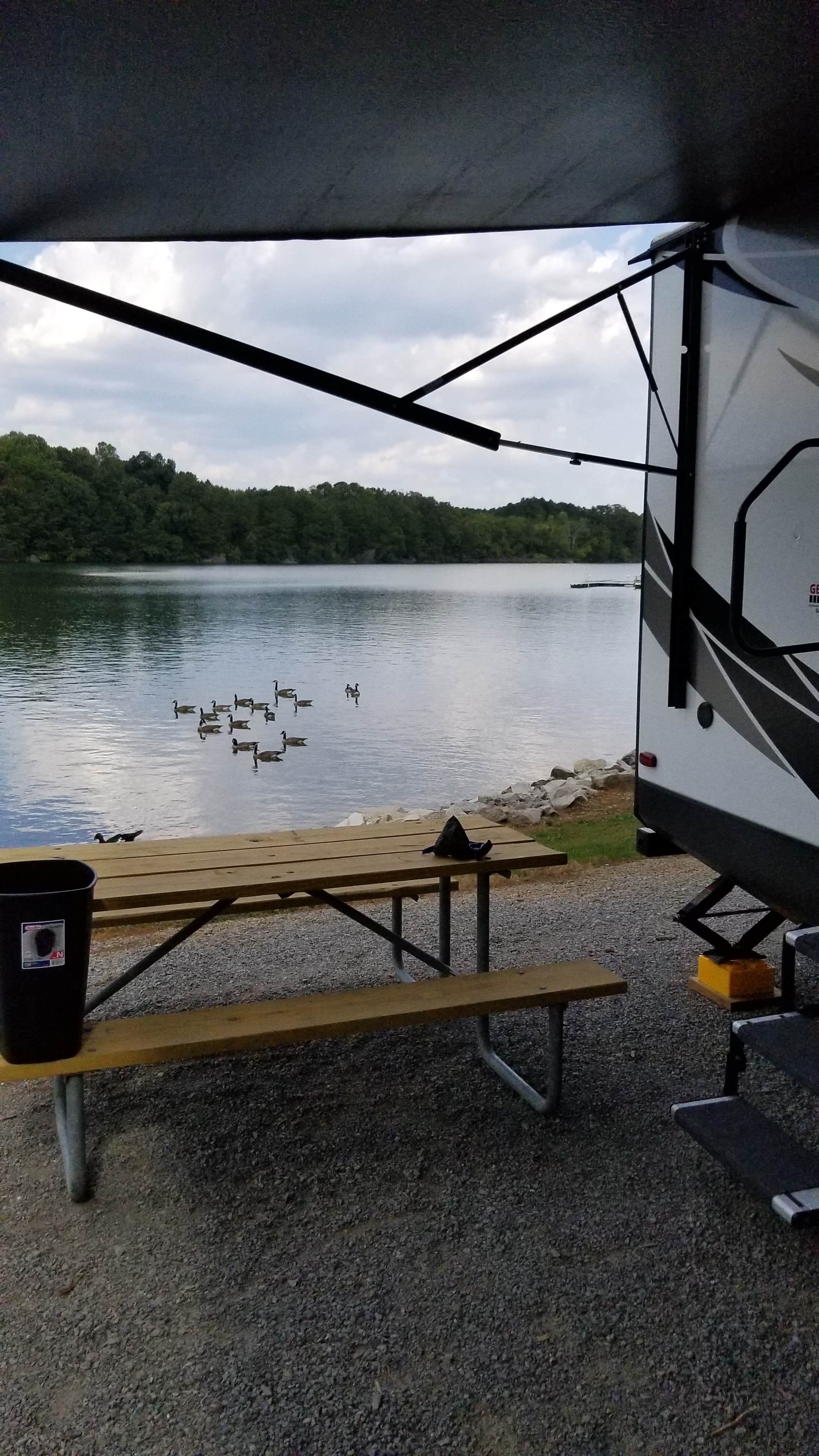 Camper submitted image from Lotterdale Cove Campground - 1