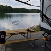 Review photo of Lotterdale Cove Campground by Jacob S., September 30, 2019