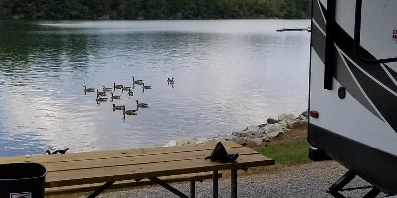 Camper submitted image from Lotterdale Cove Campground