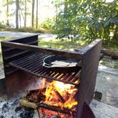 Review photo of Elk Neck State Park Campground by Jalissa Y., September 30, 2019