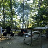 Review photo of Elk Neck State Park Campground by Jalissa Y., September 30, 2019