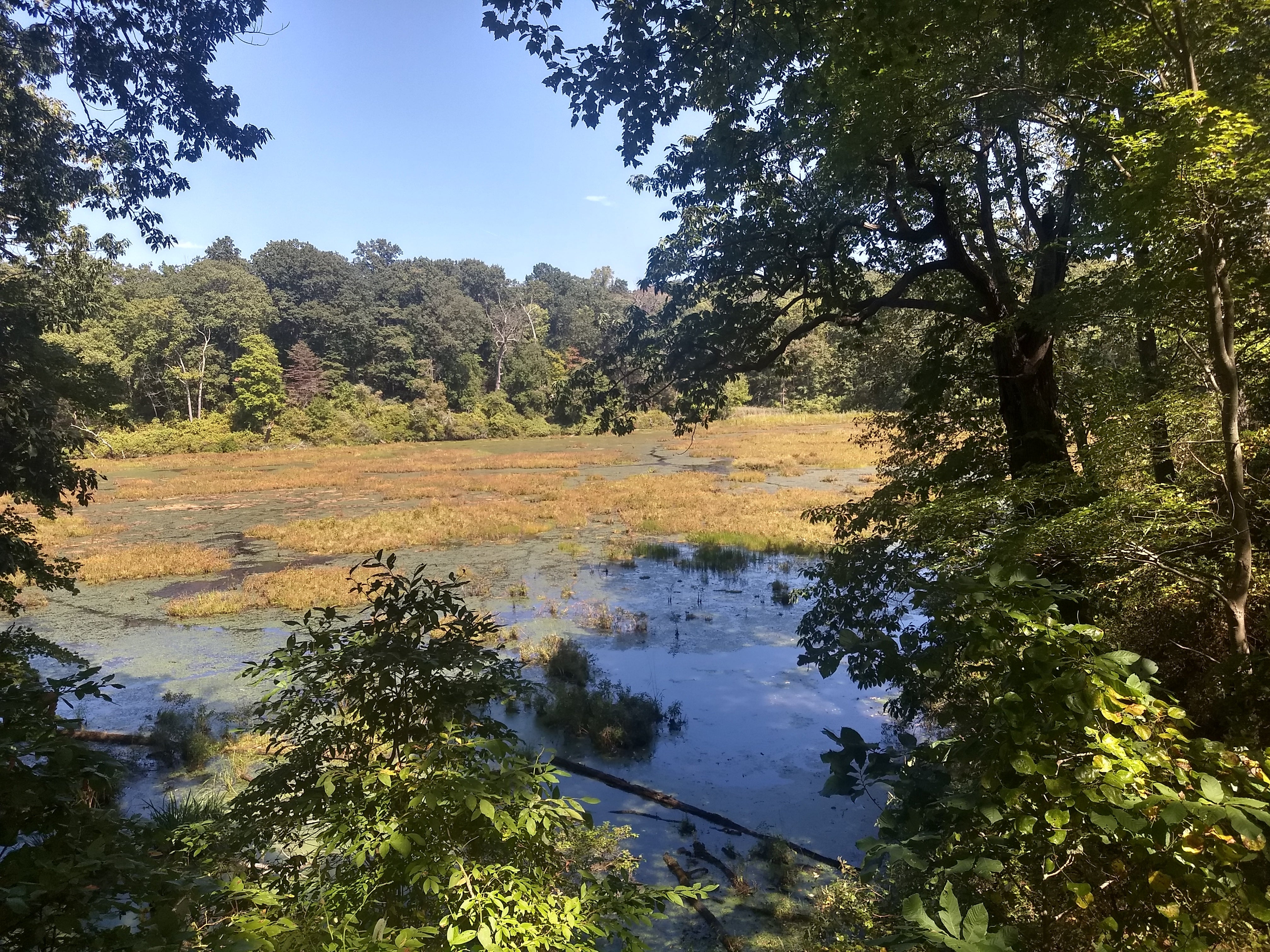 Views from Beaver Marsh Trail