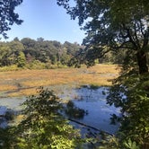 Review photo of Elk Neck State Park Campground by Jalissa Y., September 30, 2019