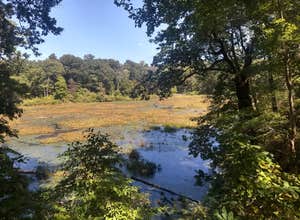 Elk Neck State Park Campground