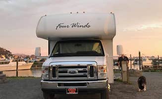 Todd W.'s photo of camping with pets at Porto Bodega Marina & RV Park near Santa Rosa, CA