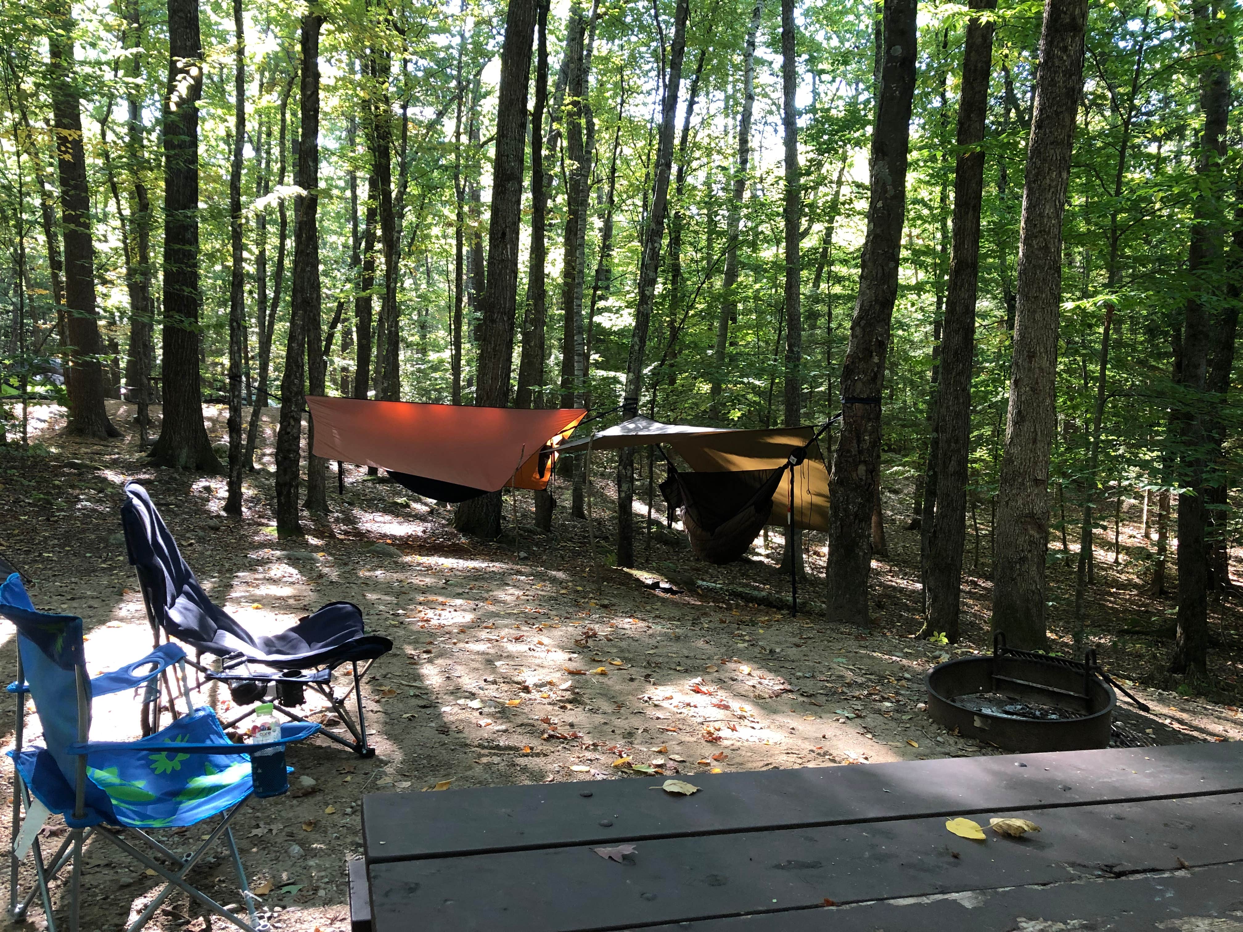 Kimberly R.'s photo at Pawtuckaway State Park Campground near Epping, NH